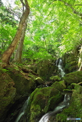 岩手県大船渡市　黒巣滝