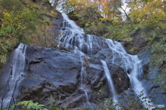 山形県鮭川村　湯沢の滝