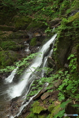 岩手県遠野市　藤沢川奥川瀬滝2