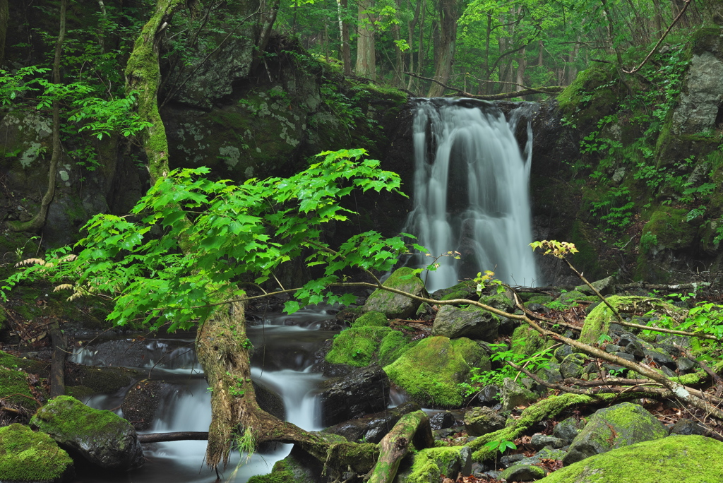 岩手県宮古市　中之又不動滝
