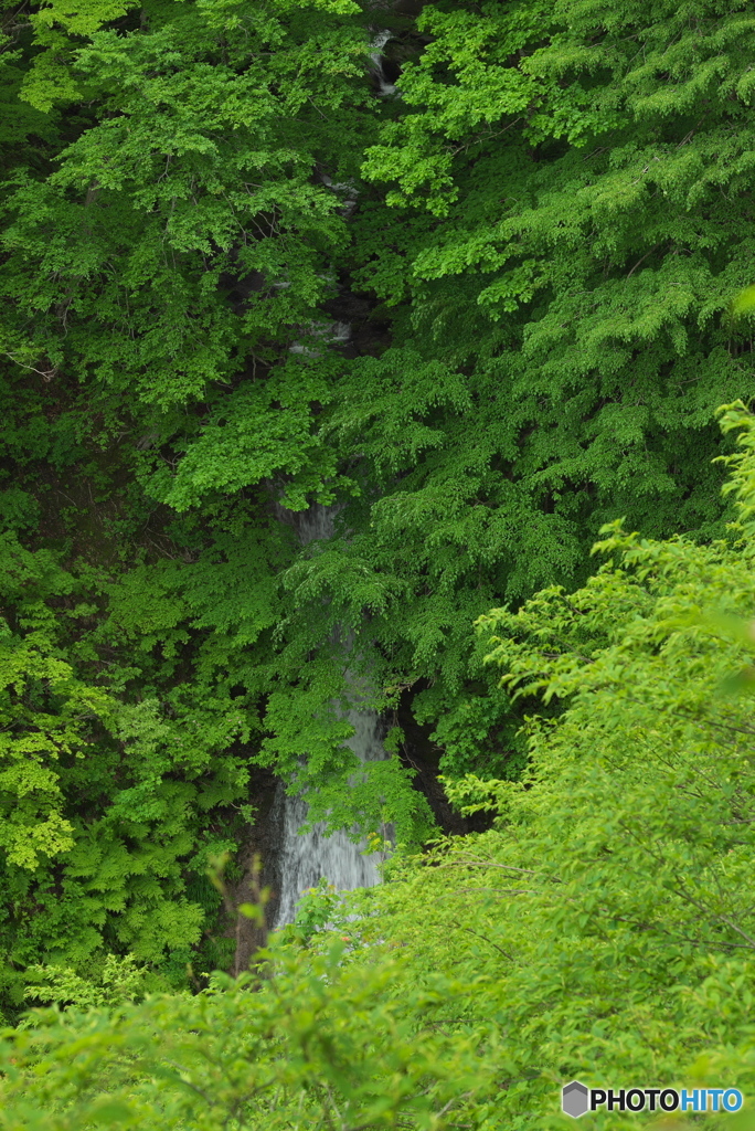 秋田県美郷町　大又沢大滝