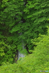 秋田県美郷町　大又沢大滝