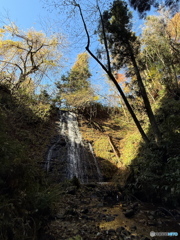 山形県朝日町　こくぞうの滝3