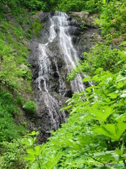 岩手県花巻市　オオヘンジョウの滝上流滝1