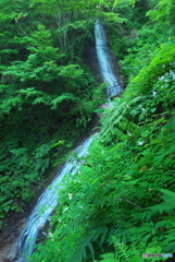 秋田県鹿角市　小根津戸の雌滝