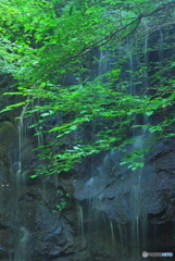 岩手県紫波町　白毛沢