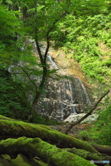 岩手県矢巾町　大白沢の滝2