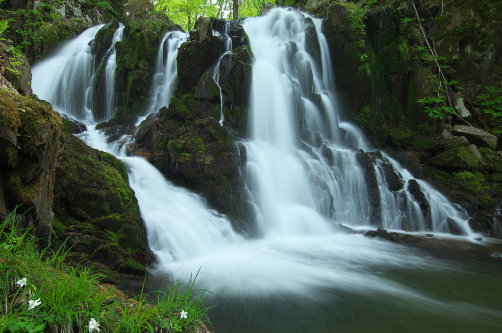 岩手県遠野市　藤沢川奥川瀬滝