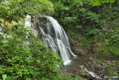 秋田県大館市　大川目川五色の滝上流滝2