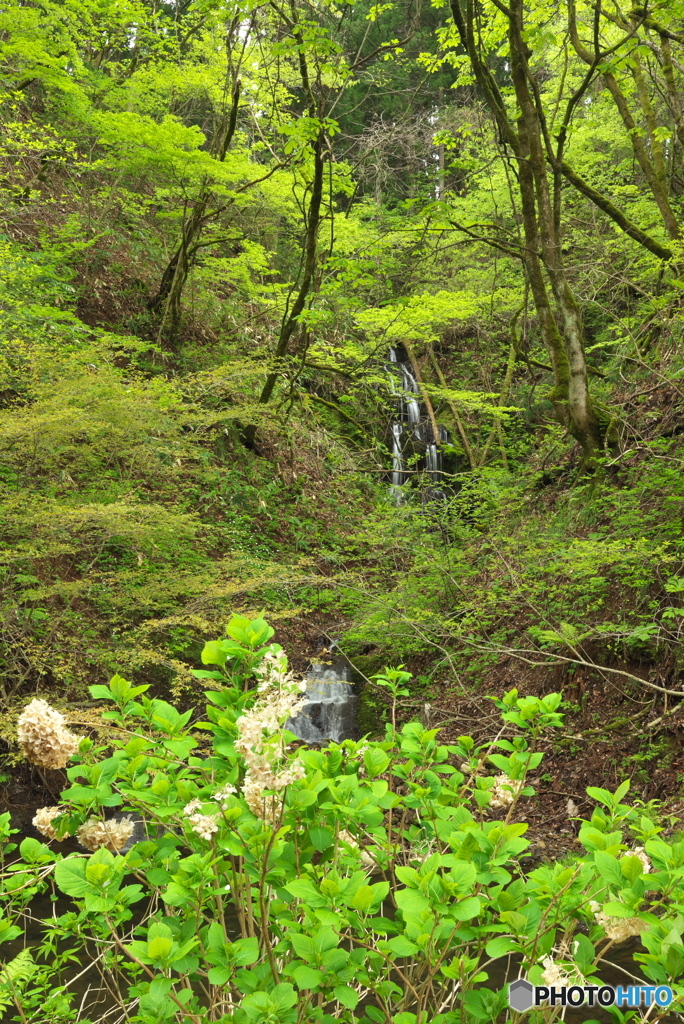 秋田県秋田市　湯ノ里川