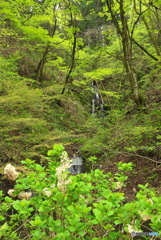 秋田県秋田市　湯ノ里川