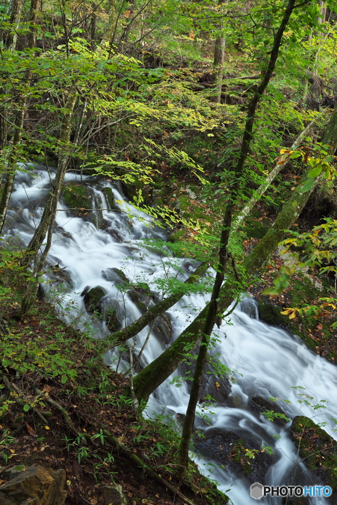 岩手県花巻市　折合沢2
