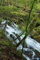 岩手県花巻市　折合沢2