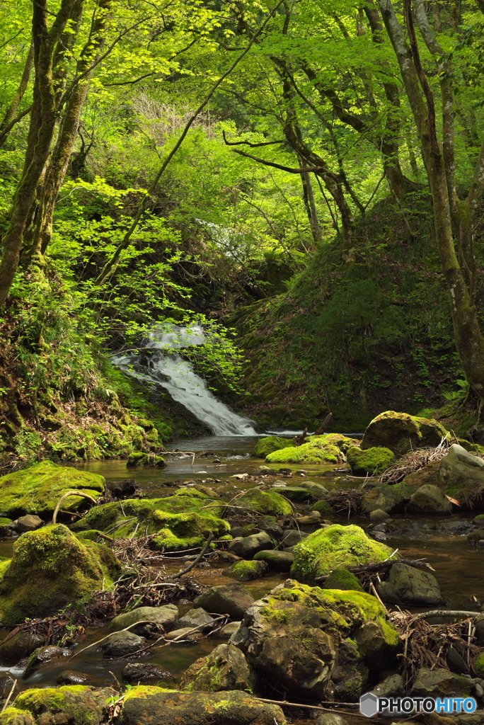 秋田県秋田市　湯ノ里川不動滝