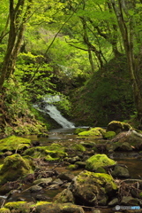 秋田県秋田市　湯ノ里川不動滝
