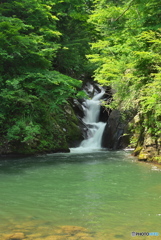 山形県真室川町　八敷代川三階滝