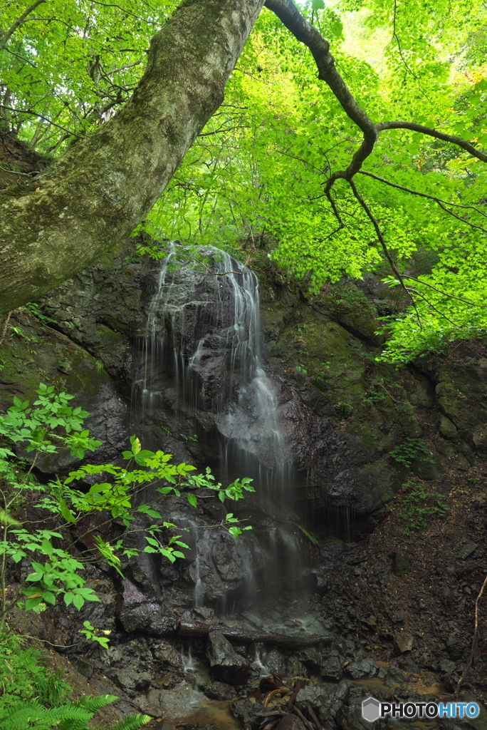 岩手県紫波町　白毛沢1
