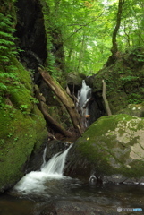 岩手県遠野市　藤沢川銚子ノ口滝