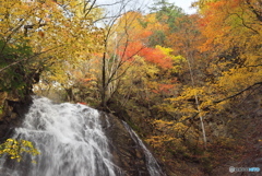 岩手県矢巾町　北ノ沢大滝2