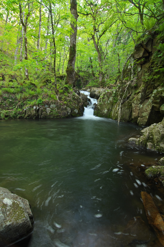 岩手県遠野市　藤沢川扇ガ滝