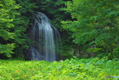 秋田県鹿角市　湯の又の滝