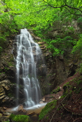 岩手県岩泉町　神滝上流滝