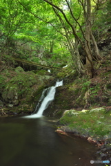 岩手県釜石市　水海川一乃滝2