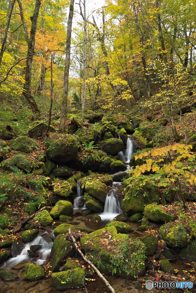 岩手県花巻市　岳川支沢鳴想の滝
