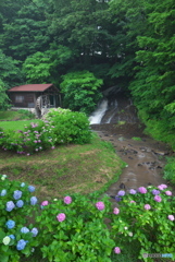 岩手県北上市　三坊木川お滝さん1