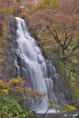 山形県真室川町　土倉の滝