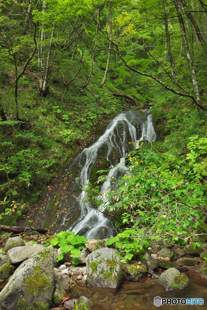 秋田県仙北市　前郷沢支沢1_1