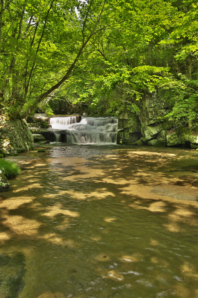 岩手県遠野市　琴畑川白滝