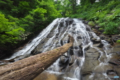 山形県真室川町　十滝2