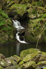 岩手県遠野市　藤沢川扇ガ滝