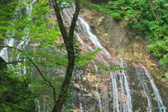 岩手県矢巾町　大白沢の滝