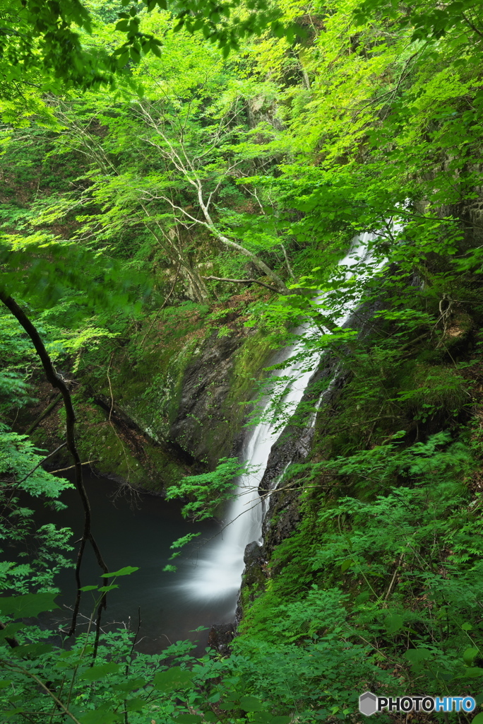 岩手県宮古市　鶯谷の滝3