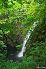 岩手県宮古市　鶯谷の滝3