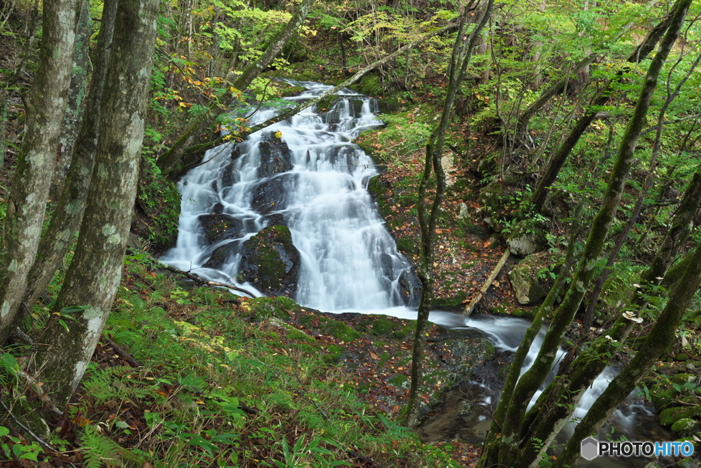 岩手県花巻市　折合沢1