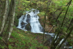 岩手県花巻市　折合沢1