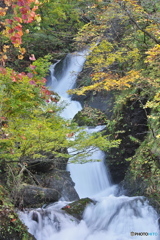 山形県鮭川村　大滝