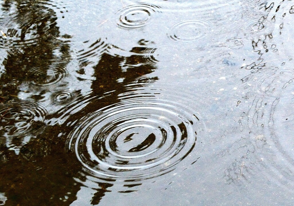 雨のキャンバス