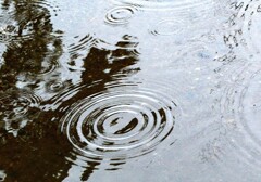 雨のキャンバス