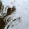 雨のキャンバス