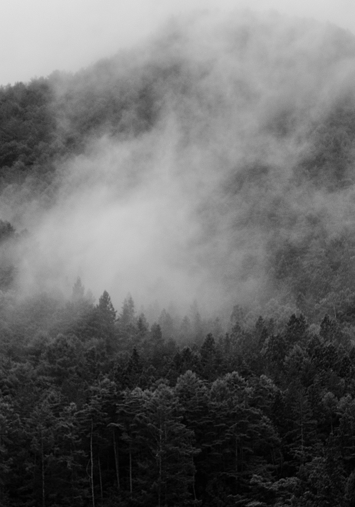 雨上がりに山霧迫る