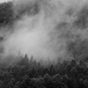 雨上がりに山霧迫る
