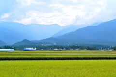 お散歩カメラ～田園風景