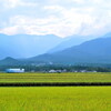 お散歩カメラ～田園風景