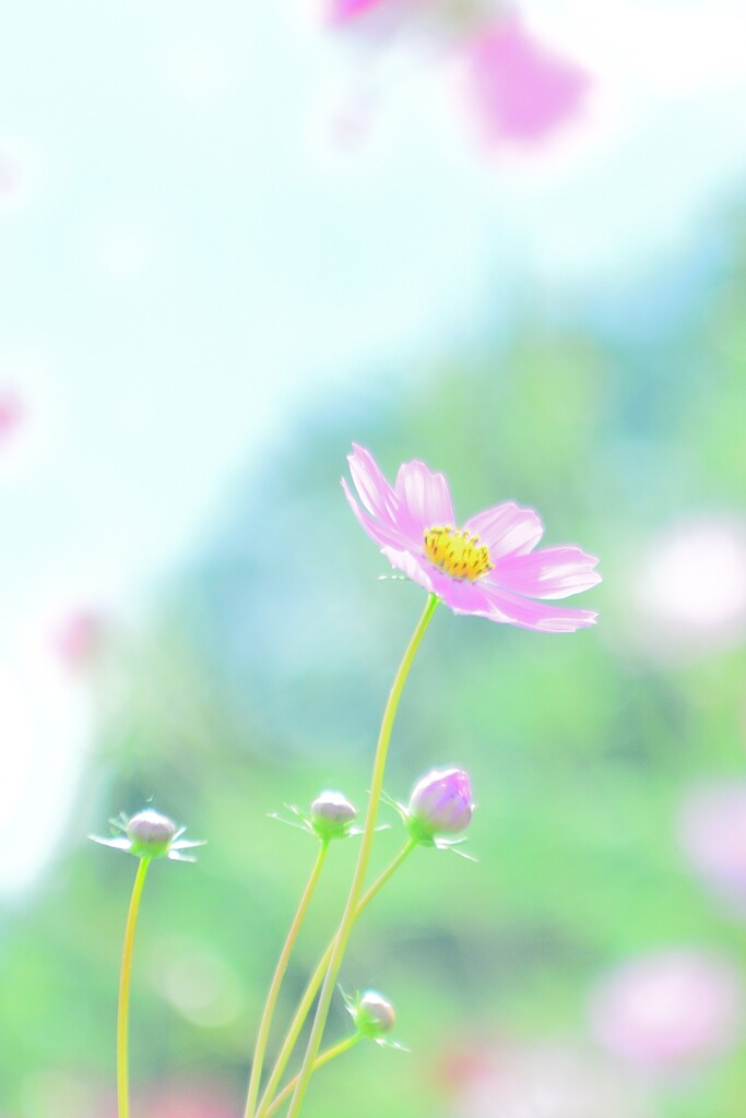 優しさ
