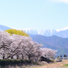 安曇野の春