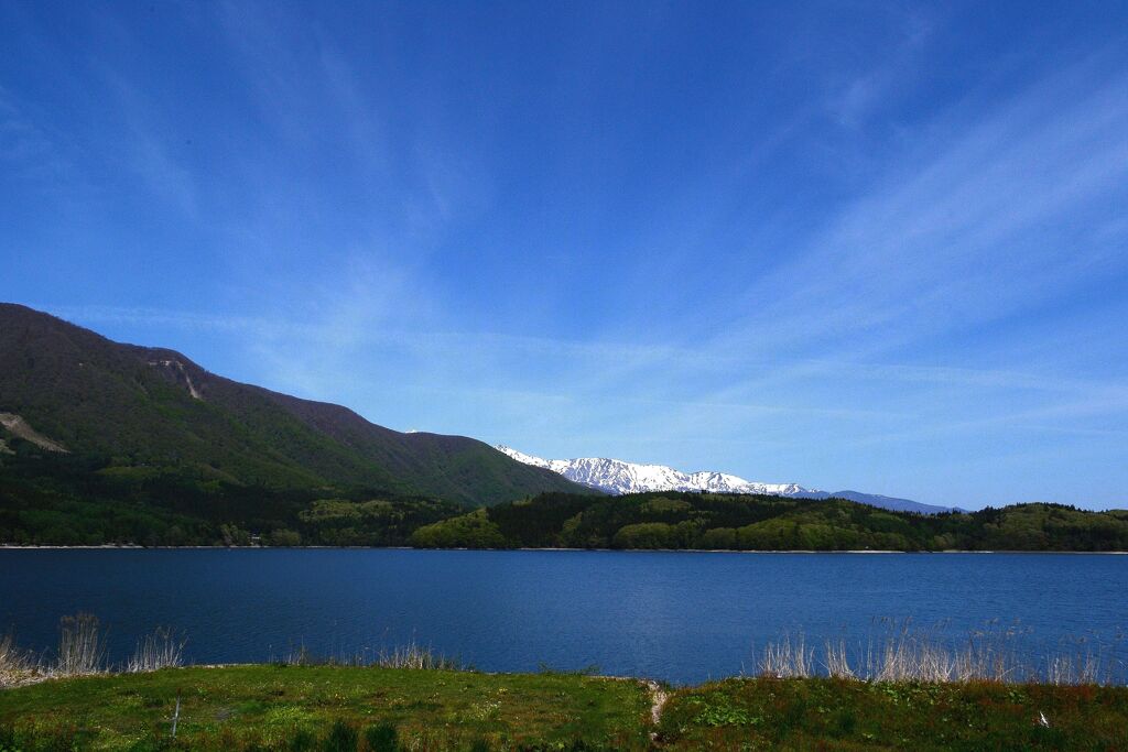 お散歩カメラ